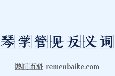 琴学管见反义词是什么意思的图片